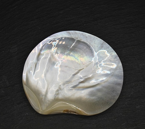 Assiette en nacre noire 7-9 cm