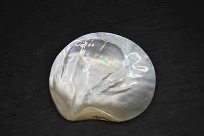 Assiette en nacre noire 7-9 cm