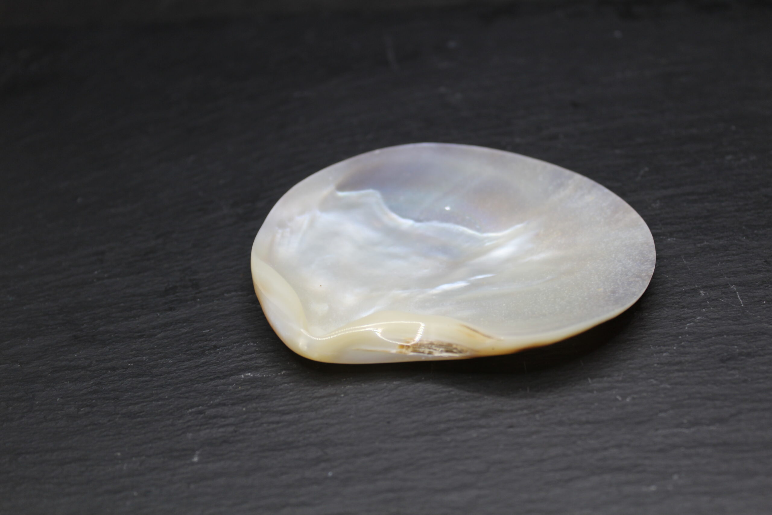 Black mother-of-pearl plate 7-9 cm - Image 2