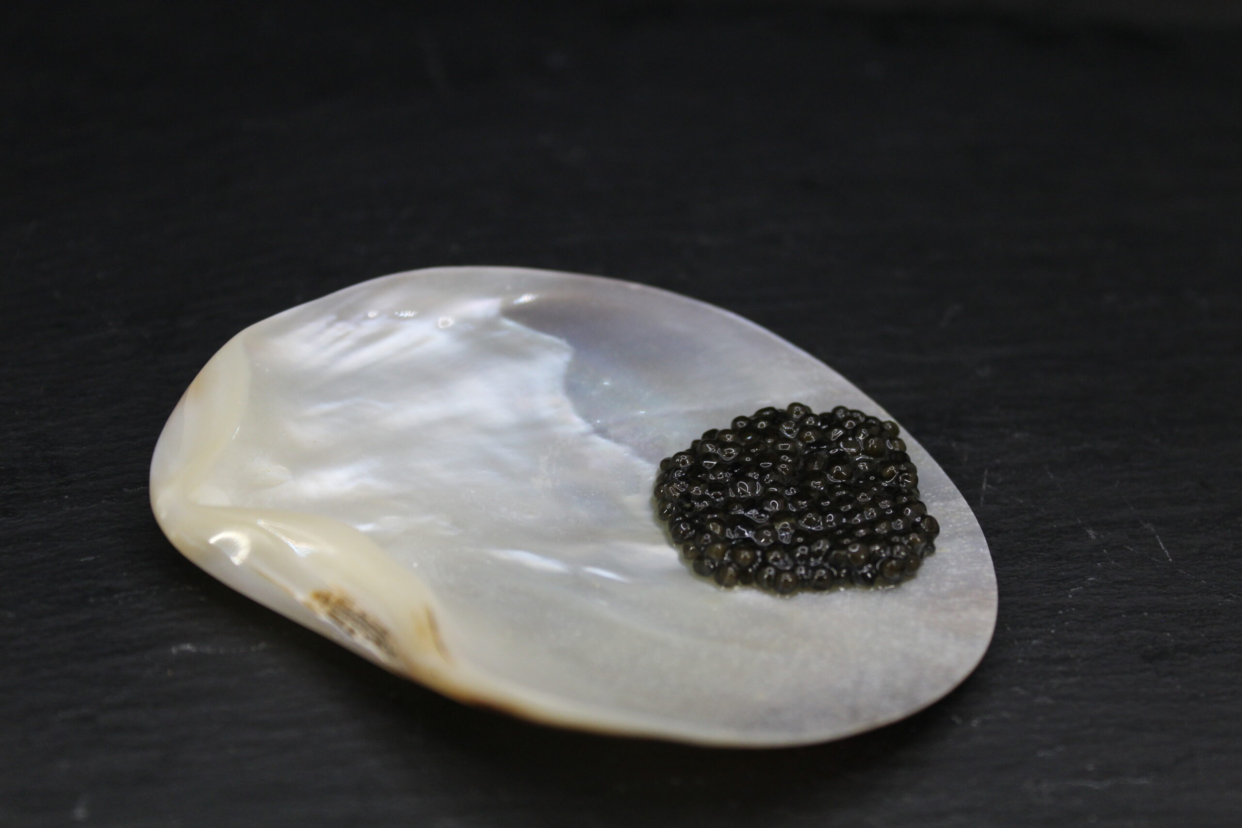 Black mother-of-pearl plate 7-9 cm - Image 3