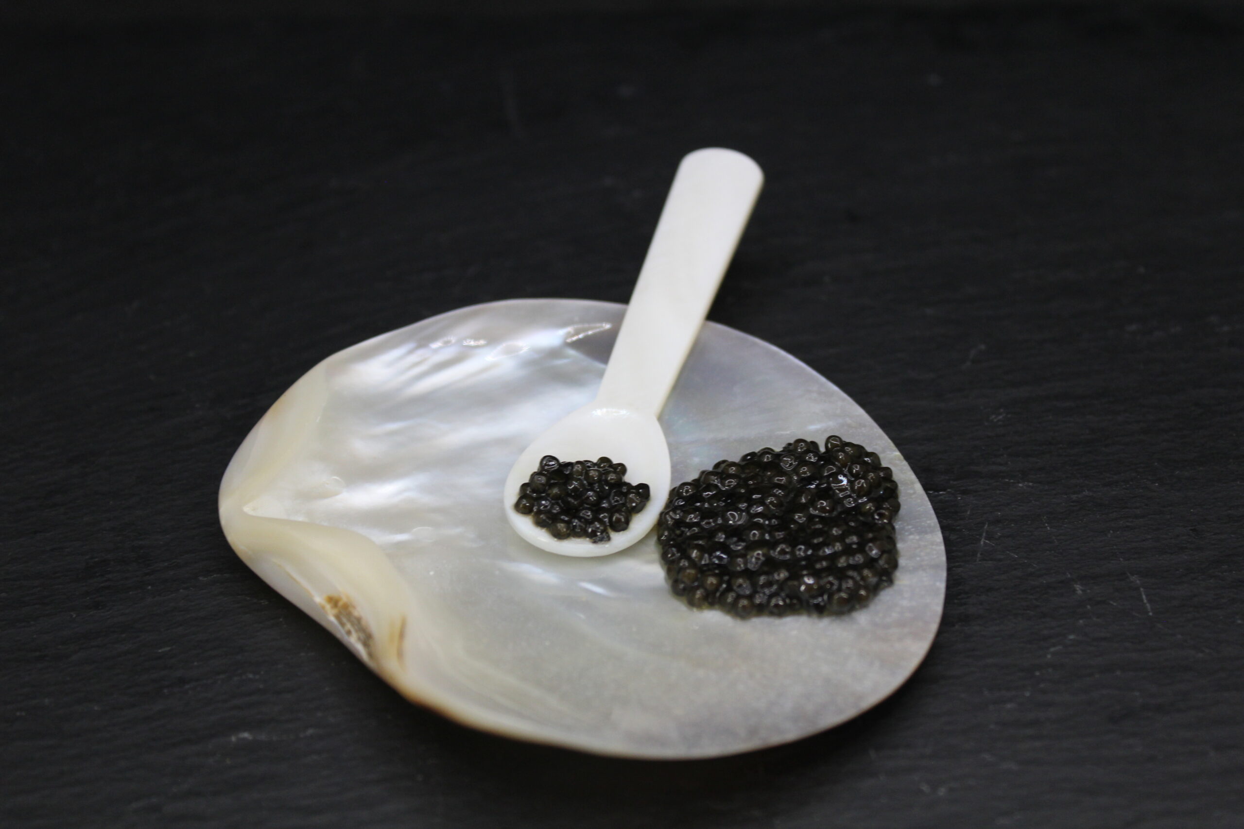 Black mother-of-pearl plate 7-9 cm - Image 4