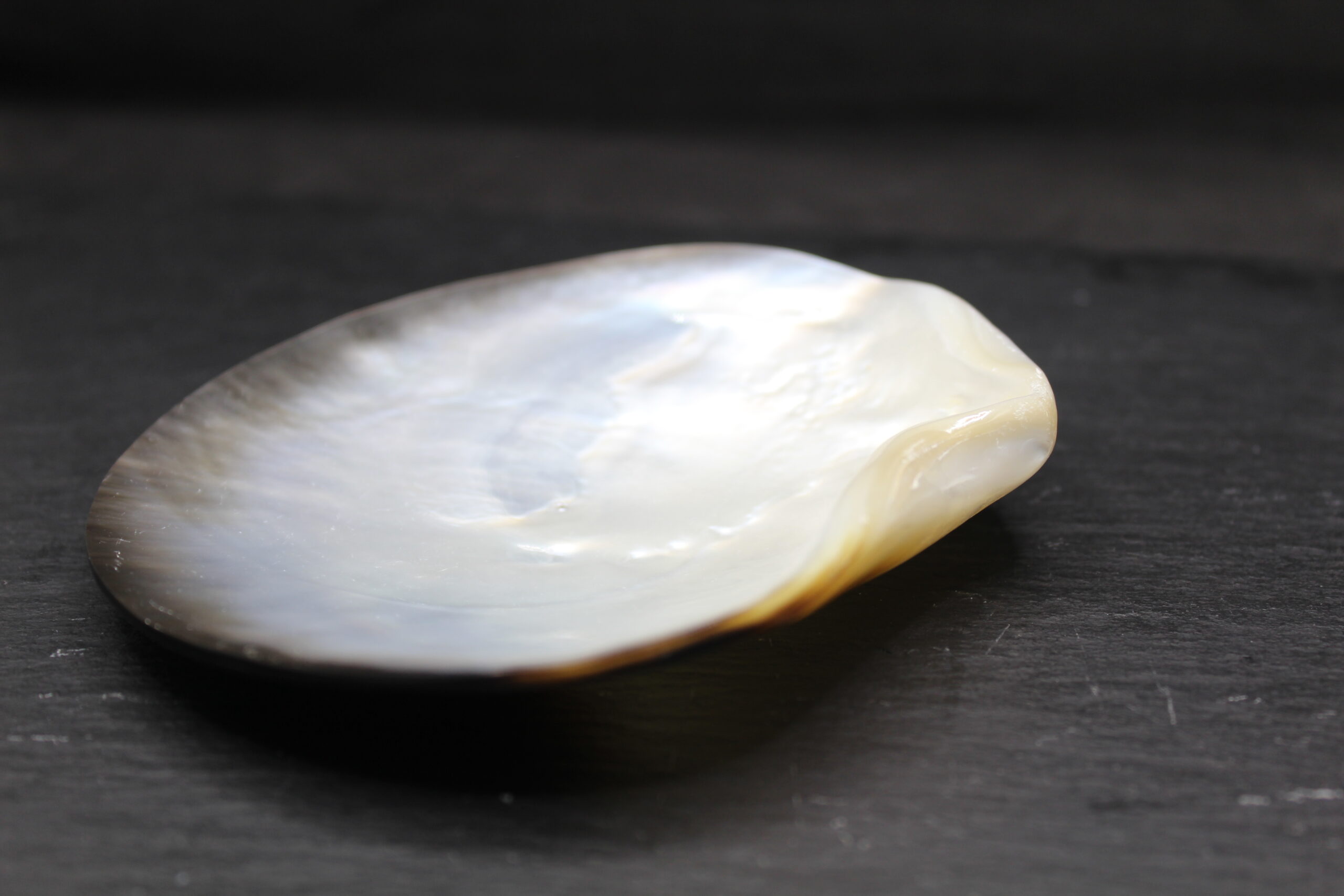 Black mother-of-pearl plate 9-11 cm - Image 2