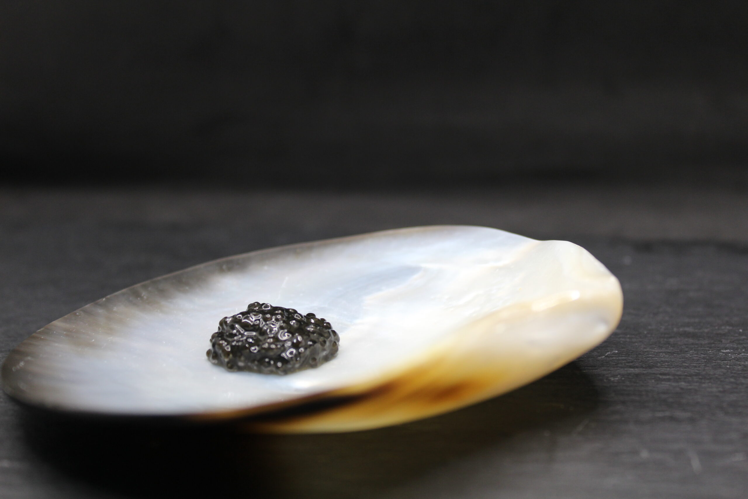 Black mother-of-pearl plate 9-11 cm - Image 3