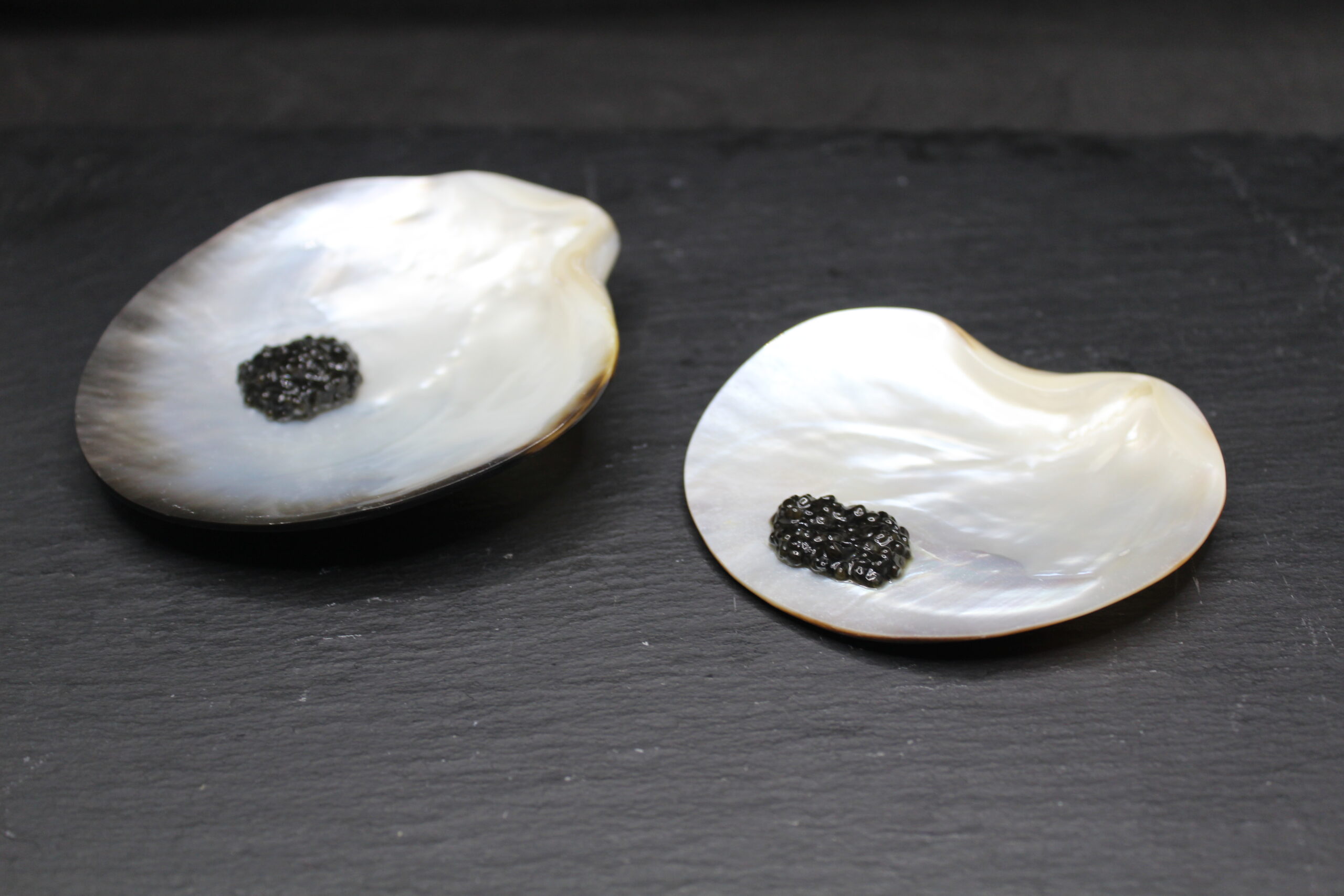 Black mother-of-pearl plate 9-11 cm - Image 4